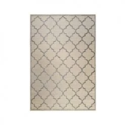 Wecon Home Tapis Extérieur Tapis Exterieur Beige Motif Oriental Gris 225x160